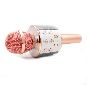 WIRELESS MICROPHONE HIFI SPEAKER