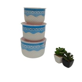 ceramic bowls with plastic lids. 