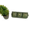 3 Grids Dry Fruits Tray