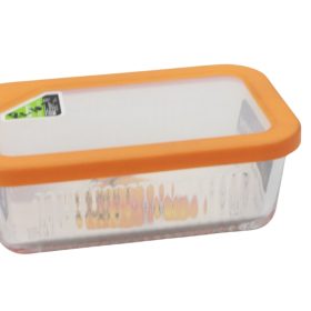 Limon glass food storage container.