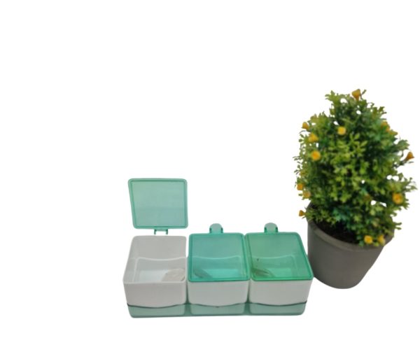 3- Portion spice case