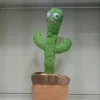 Dancing Cactus toy