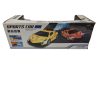 RC spray mini car