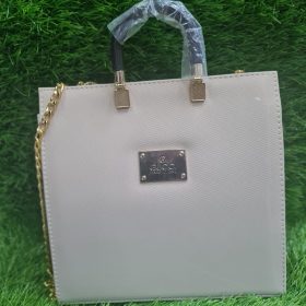 Gucci Longchamp Bag