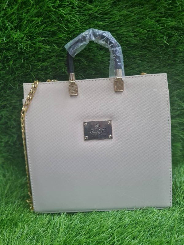 Gucci Longchamp Bag