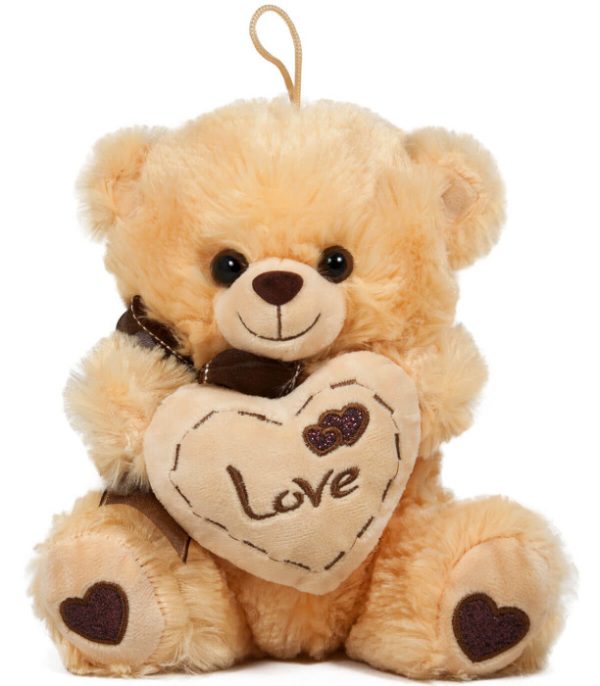 Teddy Bear holding a heart