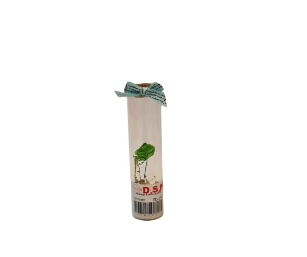 Small Plant tissue