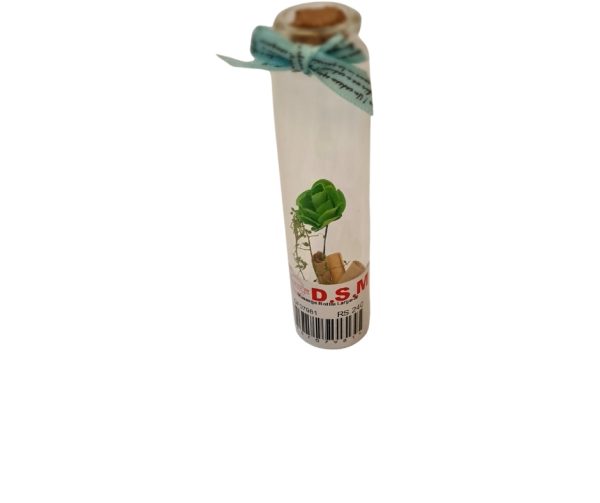 Small Plant tissue