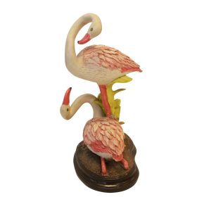 Two flamingos