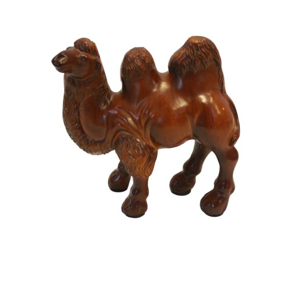 Showpiece Camel