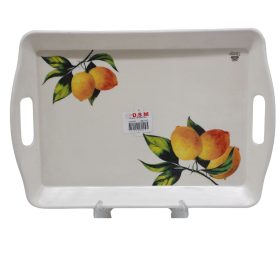 Rectangular Serving Tray