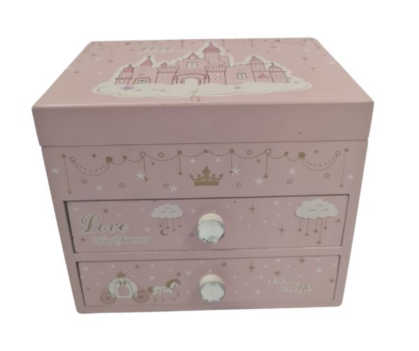 Pink Storage Box
